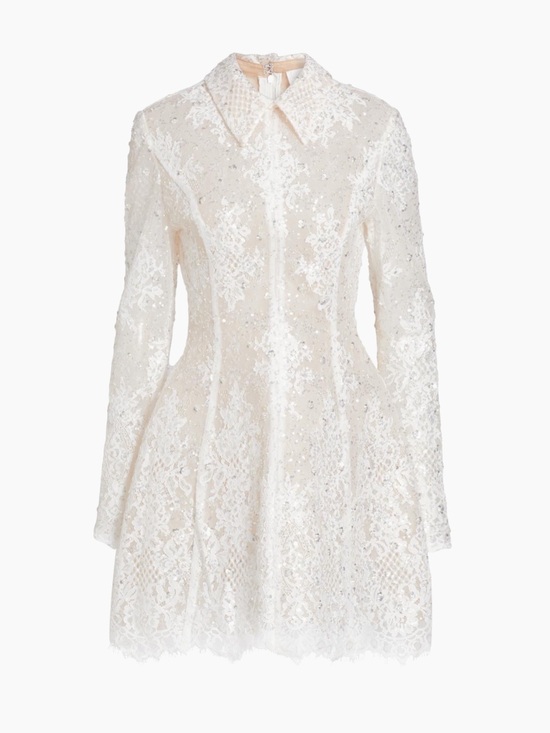 Bronx and Banco Dresses & Skirts - Bronx Banco Adelaide Lace Appliqué Minidress